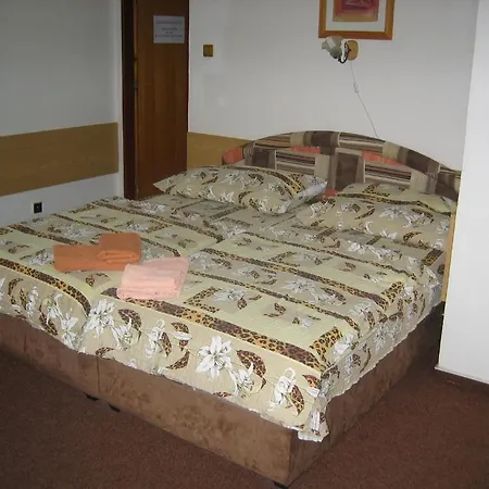 Vila Edvin Pensjonat 3*